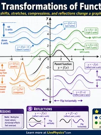 Math: Transformations of Functions