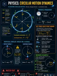 Physics: Circular Motion Dynamics