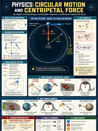 Circular Motion & Centripetal Force