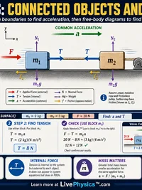 Physics: Connected Objects and Systems