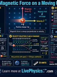 Physics: Magnetic Force on a Moving Charge