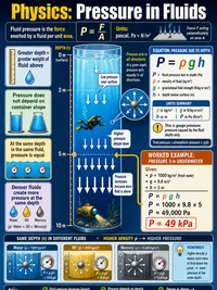 Physics: Pressure in Fluids