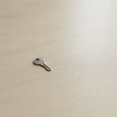A small key is isolated on a plain surface with empty space around it to emphasize importance.
