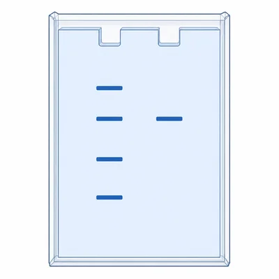 Gel with a DNA ladder lane and an unknown band aligned with one ladder band.