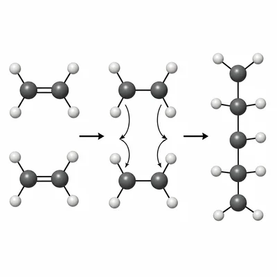 Carbon-carbon double bonds opening and becoming single bonds in a polymer chain.