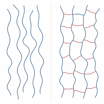 Separate thermoplastic chains compared with a cross-linked thermosetting network.