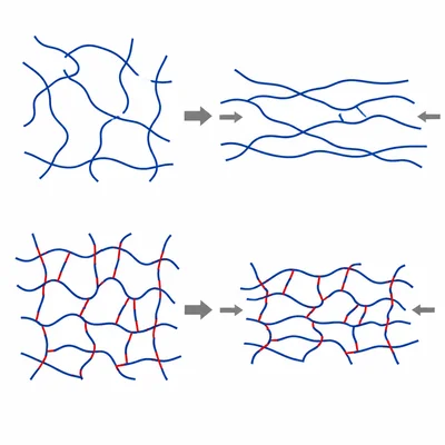 Increasing cross-links makes polymer chains form a stiffer network.