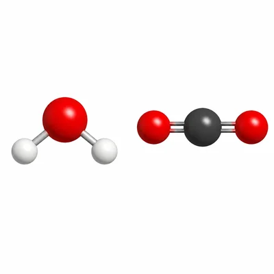 Two different molecule models shown side by side for counting atoms.