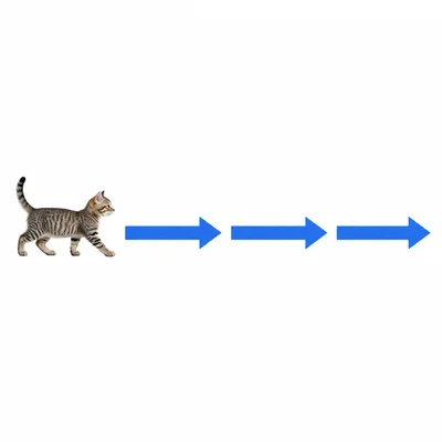A cat moving right along three equal arrows.