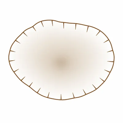 A closed contour line with inward tick marks showing a depression.