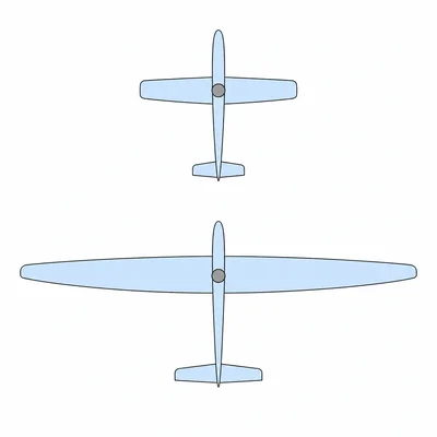 Two gliders with the same mass but different wing areas.