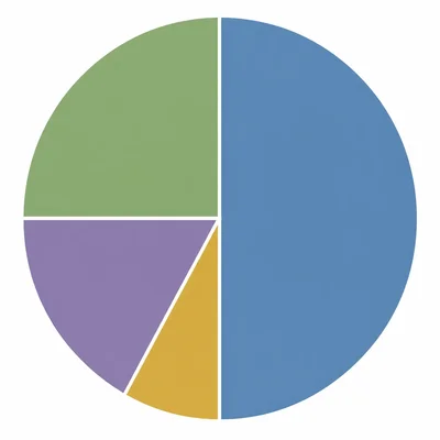 A four-slice circle graph with one half-sized slice, one quarter slice, and two smaller slices.