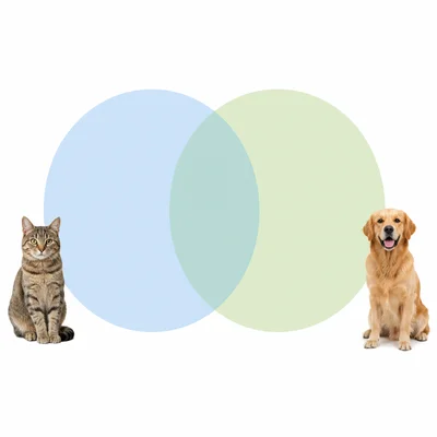 A blank Venn diagram with a cat on one side and a dog on the other.