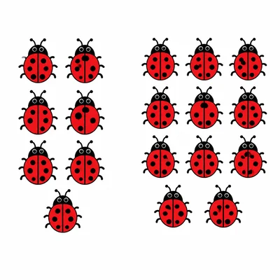 Seven ladybugs on the left and eleven ladybugs on the right.