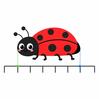 A bug lined up on a ruler between two tick marks.