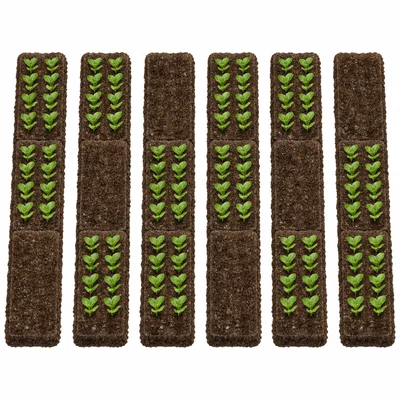 Six garden rows, each with two of three sections planted.