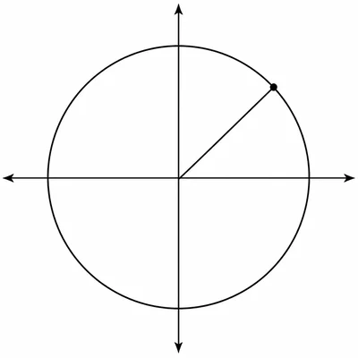 Circle centered at the origin with a radius line.