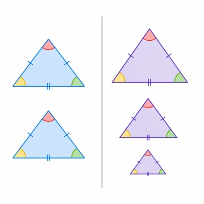 A comparison of identical congruent triangles and differently sized similar triangles.