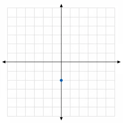 Coordinate grid showing a point on the vertical axis below the origin.