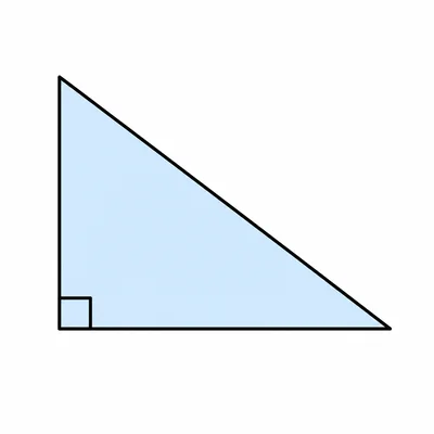 Unlabeled right triangle with a marked right angle.