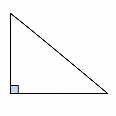 Unlabeled right triangle with a marked right angle.