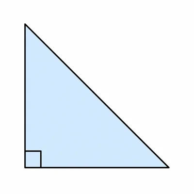 Unlabeled right triangle with a right-angle marker.