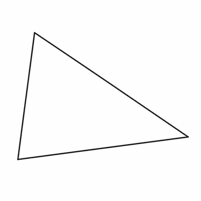 Unlabeled scalene triangle without a right-angle marker.