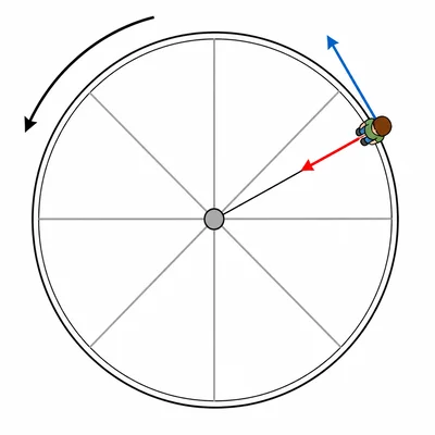 Merry-go-round diagram showing a child at a radius with tangential velocity and inward acceleration.
