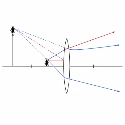 Converging lens used as a magnifying glass, forming a larger upright virtual image on the object side.