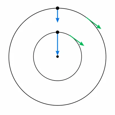 Two circular paths with equal speed arrows and a longer inward force arrow on the smaller circle.