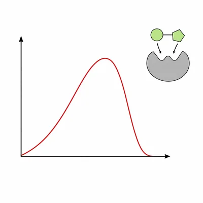 Unlabeled curve rising to a peak and then dropping sharply, with an enzyme icon.