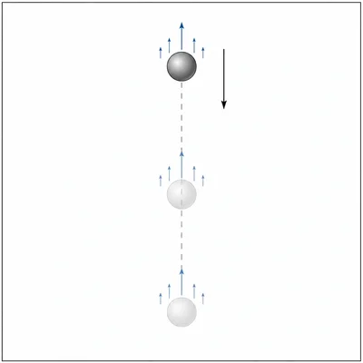 A falling ball with gravity downward and air resistance upward.