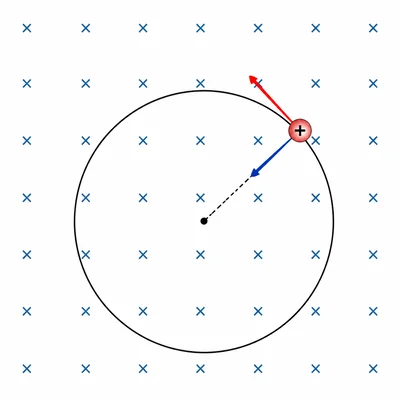 A charged particle following a circular path in a uniform magnetic field.
