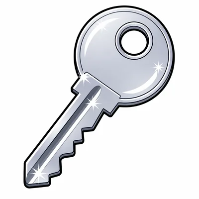 A shiny metal key.