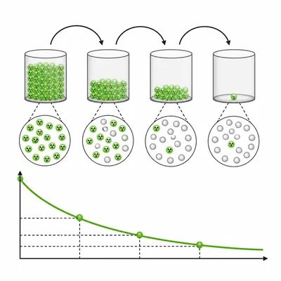A radioactive sample shown decreasing by half over three half-life steps.