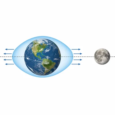 Earth has two opposite tidal bulges aligned with the Moon.
