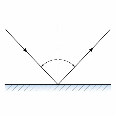 Incident and reflected rays make equal angles with the normal at a plane mirror.
