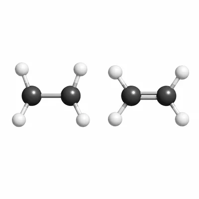 Side-by-side molecular models showing a carbon-carbon single bond and a carbon-carbon double bond.