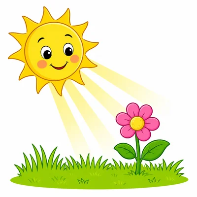 Sunshine on grass and a flower.