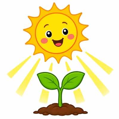A warm sun shining on a sprout.