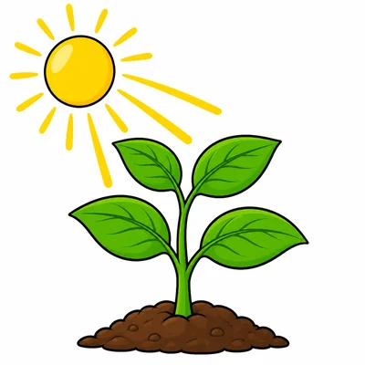 Sunlight helping a plant grow.