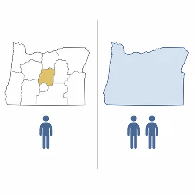 Diagram comparing a representative serving one district with senators serving an entire state.