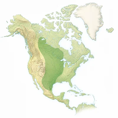Simplified map with a shaded area showing a geographic region.