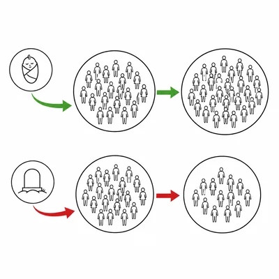 Births add people to a population while deaths remove people from it.