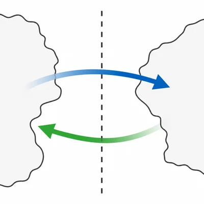 Arrows crossing a border in opposite directions illustrate immigration and emigration.