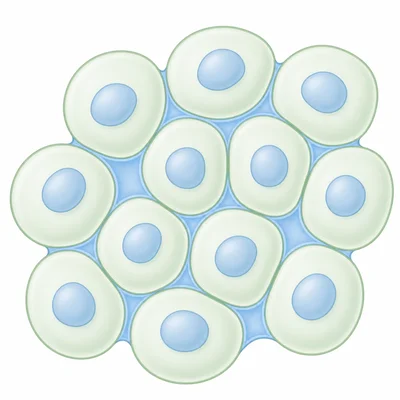 Spaces highlighted between several neighboring cells.